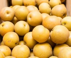 梨 冷蔵庫 保存