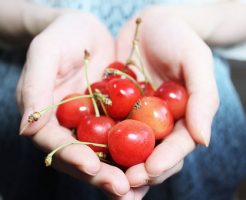 さくらんぼ 皮 消化