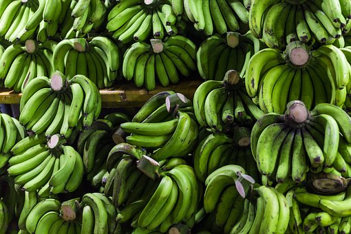バナナを冷蔵庫に入れると黒くなる理由 防止策は 果物大辞典
