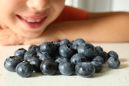 ブルーベリーの保存は冷蔵庫 常温でもいい 賞味期限と日持ちはどれくらいなのか 果物大辞典