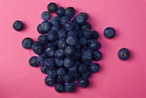 ブルーベリーの品種 ブルーレイ の特徴 相性のいい土地などはあるの 果物大辞典