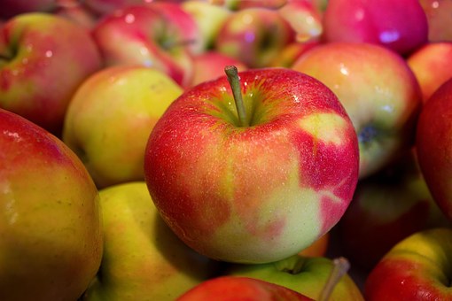 りんご ドライフルーツ 栄養 カロリー 