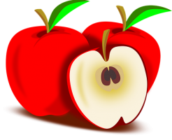 りんご　肥料　種類　量
