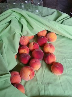 桃 品種 海外