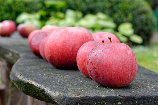 リンゴを使った追熟と期間について 果物大辞典