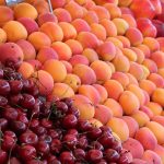 桃の風味と香り：品種ごとの特徴