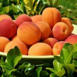 桃の果実の色と甘みの関係性