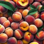 桃の成長に影響する環境要素と対策方法