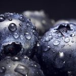ブルーベリーの冷凍保存方法：栄養を損なわずに保存する
