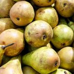 梨の甘さと酸味: 品種ごとの味の違いと好みの見極め方
