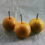 梨の収穫時期: 実が甘くなるベストな収穫タイミング