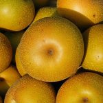 梨の栽培と日光: 日光の効果的な利用と過剰な影響の回避