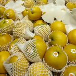 梨の栽培と害虫防除: 自然な方法で害虫を寄せ付けない対策