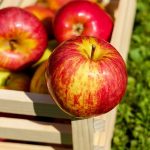 冷蔵庫でのりんごの保管方法をマスターしよう