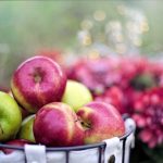 子どもに人気：りんごのアップルソースの手作りレシピ