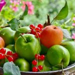 りんごの種類ごとに違う特徴と味わいを楽しむ