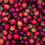 秋の風物詩：りんご祭りの魅力と歴史