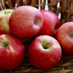 りんごの栽培と環境への影響について考える