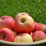 りんごの栽培に必要な道具と用品のリスト
