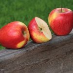 りんごの皮を利用した美容と健康の秘訣