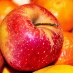りんごの栽培におけるトレリスの効果と設置方法
