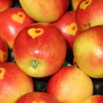 りんごと自然療法：りんご酢の効能と作り方