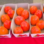 柿の皮の利用方法：栄養を活かすおしゃれな料理アイデア