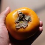柿とチーズのペアリング：美味しい組み合わせの提案